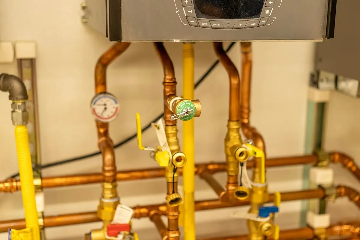 Licensed technician providing Emergency Plumbing for a homeowner in Dannemora